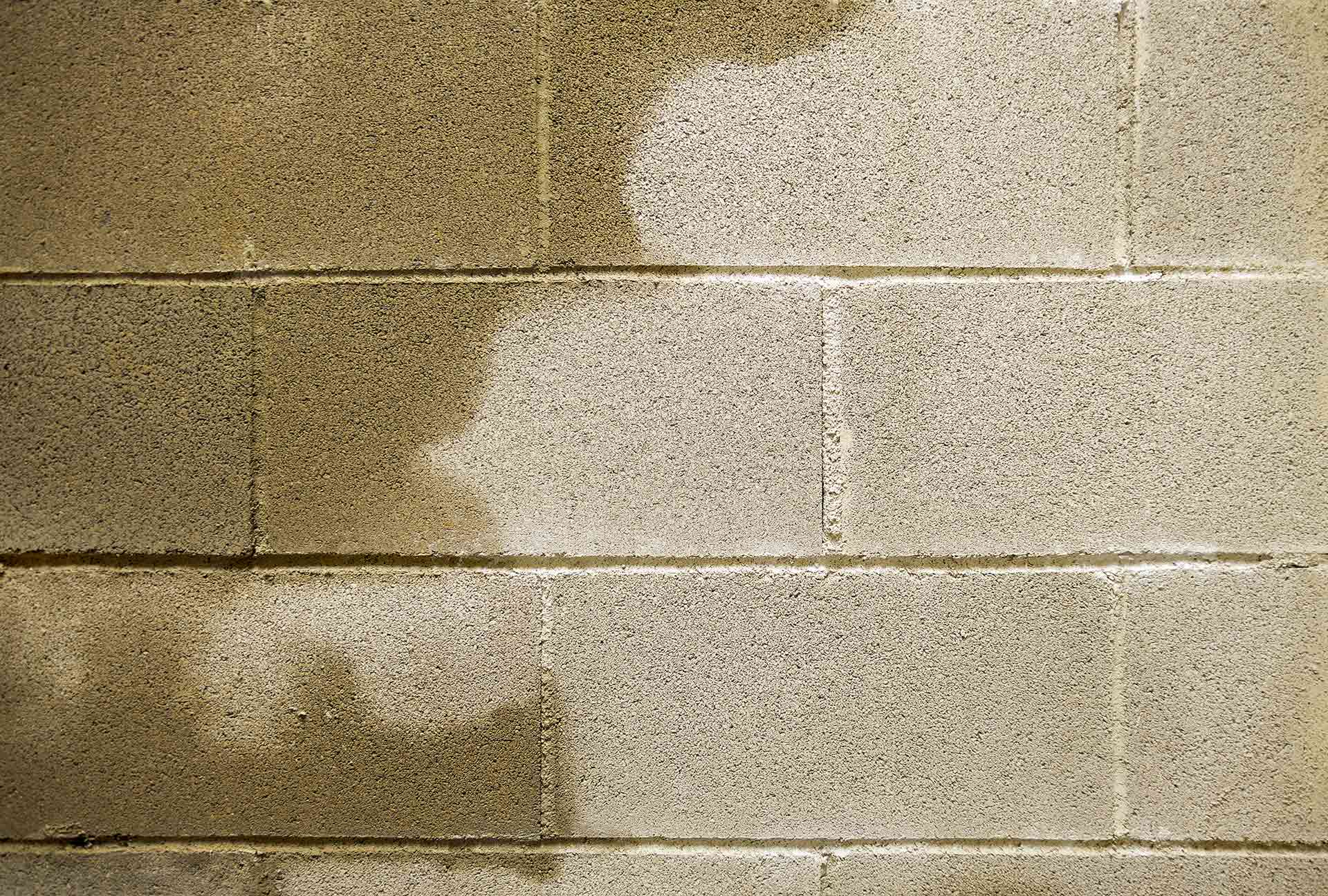 wet basement cinder block walls